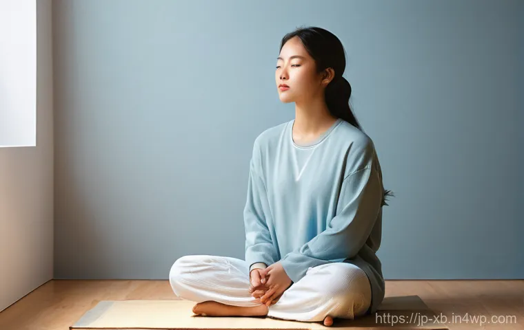 정서적 민첩성이란 무엇인가 - **Prompt:** A determined young adult, gender-neutral, stands firmly on a rocky, elevated path, looki...